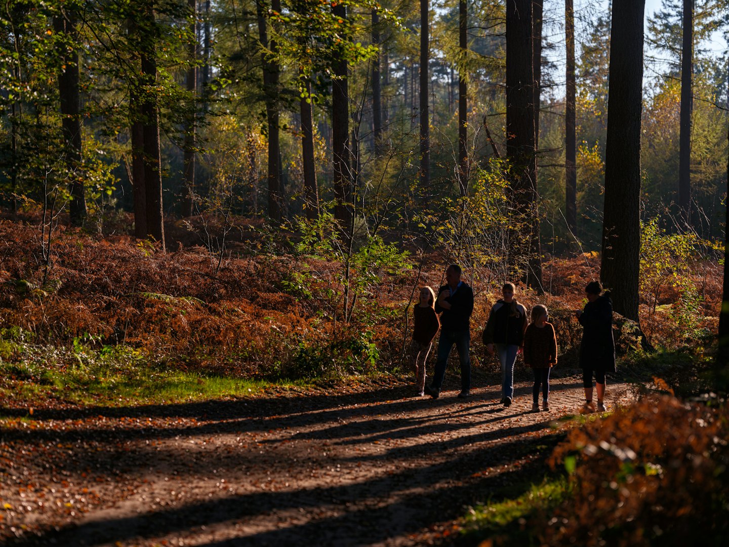Fünfköpfige Familie spaziert gemeinsam auf einem Waldweg.