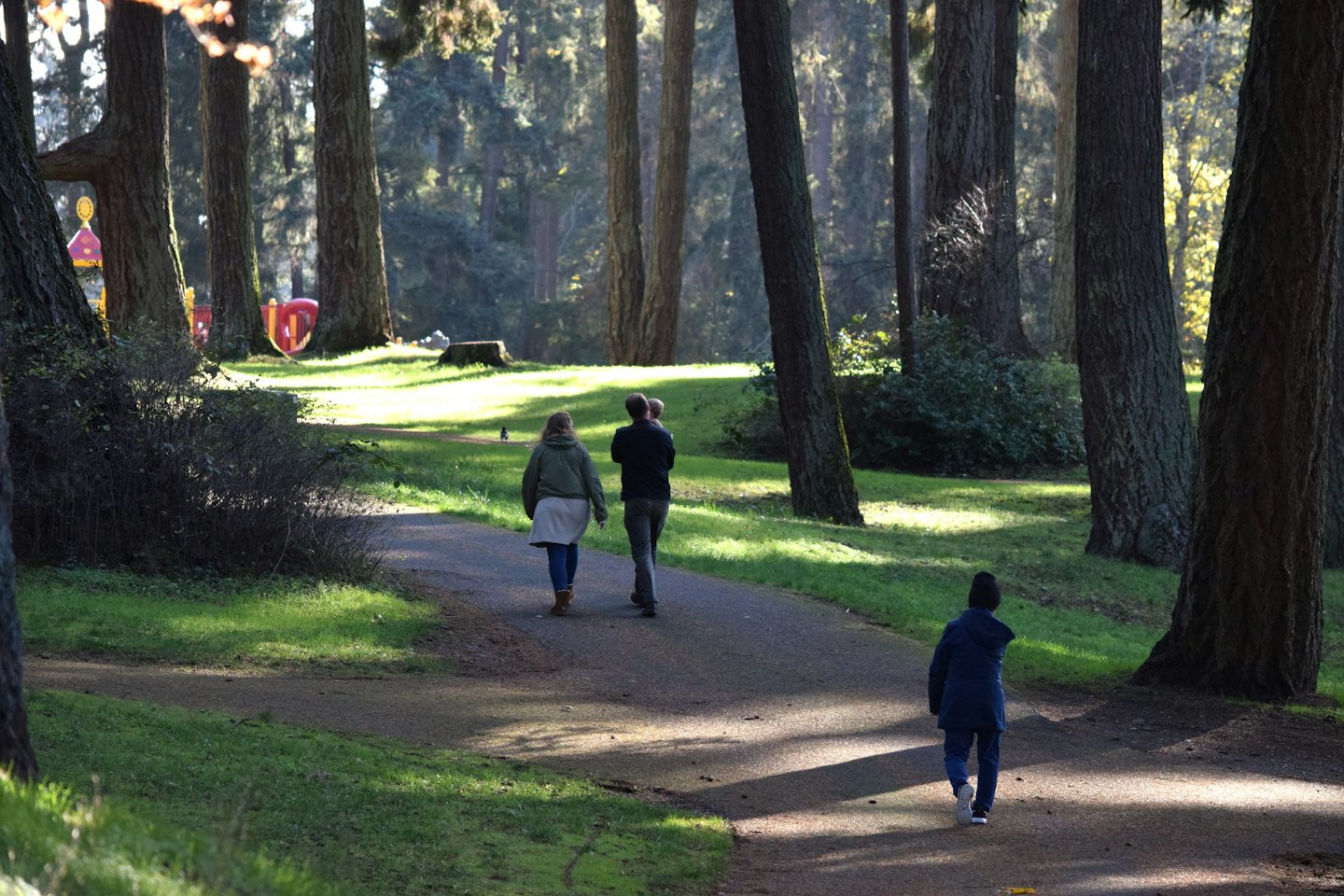 Familie spaziert gemeinsam auf einem gepflasterten Weg durch den Wald.